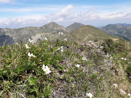 Račkova dolina - Baranec - Žiarska dolina (3)